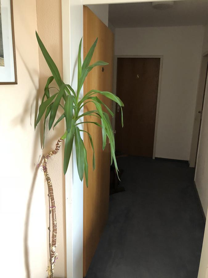 Hotel Junkerhaus Bad Salzuflen Kültér fotó